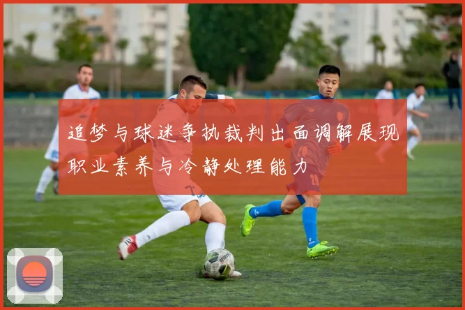 追梦与球迷争执裁判出面调解展现职业素养与冷静处理能力