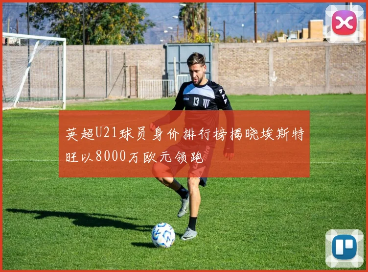 英超U21球员身价排行榜揭晓埃斯特旺以8000万欧元领跑